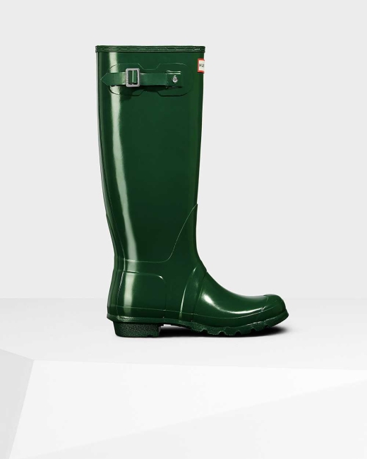 Gumaky Hunter Original Gloss Wellington Vysoke Damske Zelene | VHOF-89436